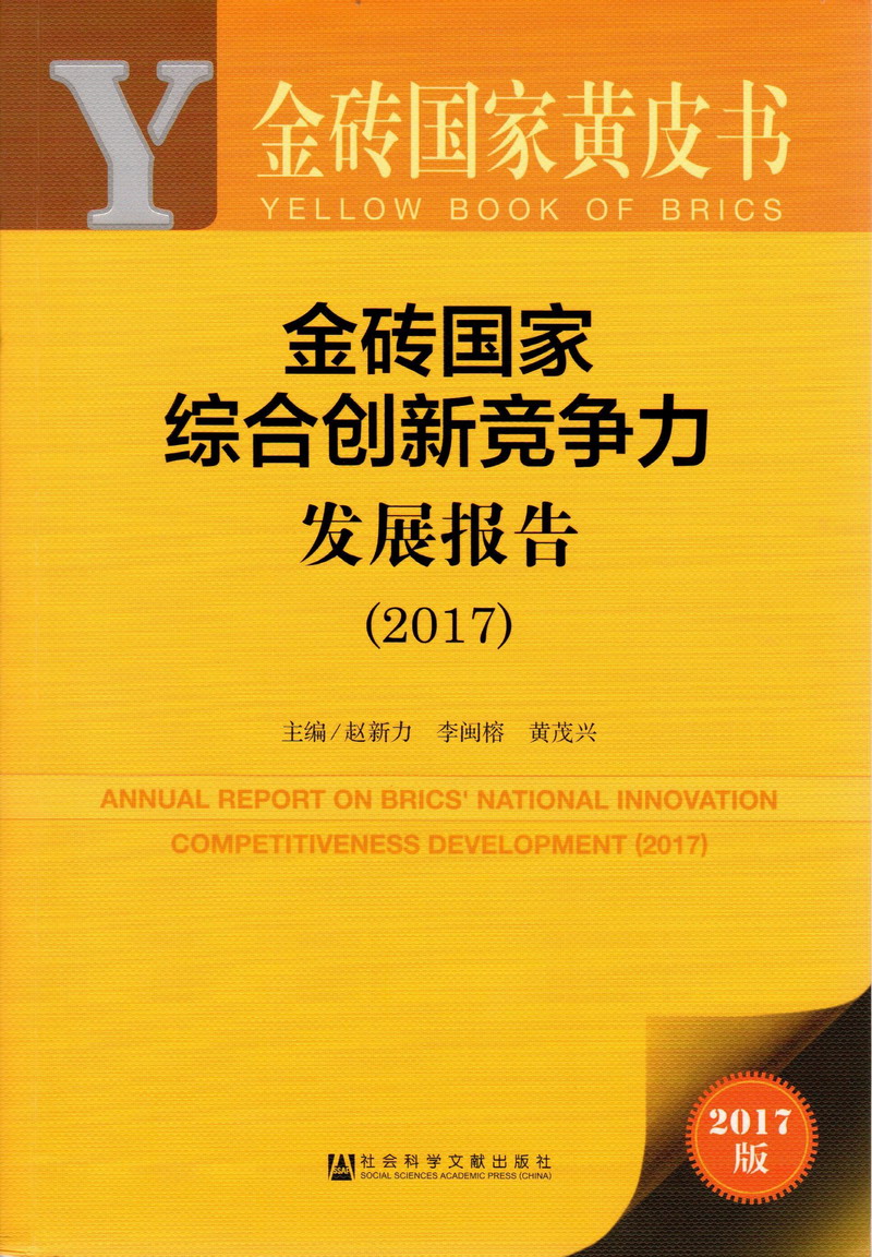 干你的大骚逼视频金砖国家综合创新竞争力发展报告（2017）